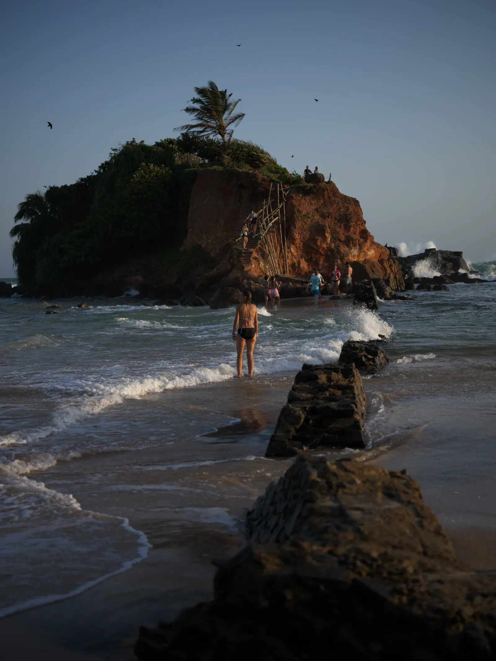 A woman wades through surf toward a rocky islet topped with a palm tree, where a wooden ladder leads up the cliff in warm evening light.