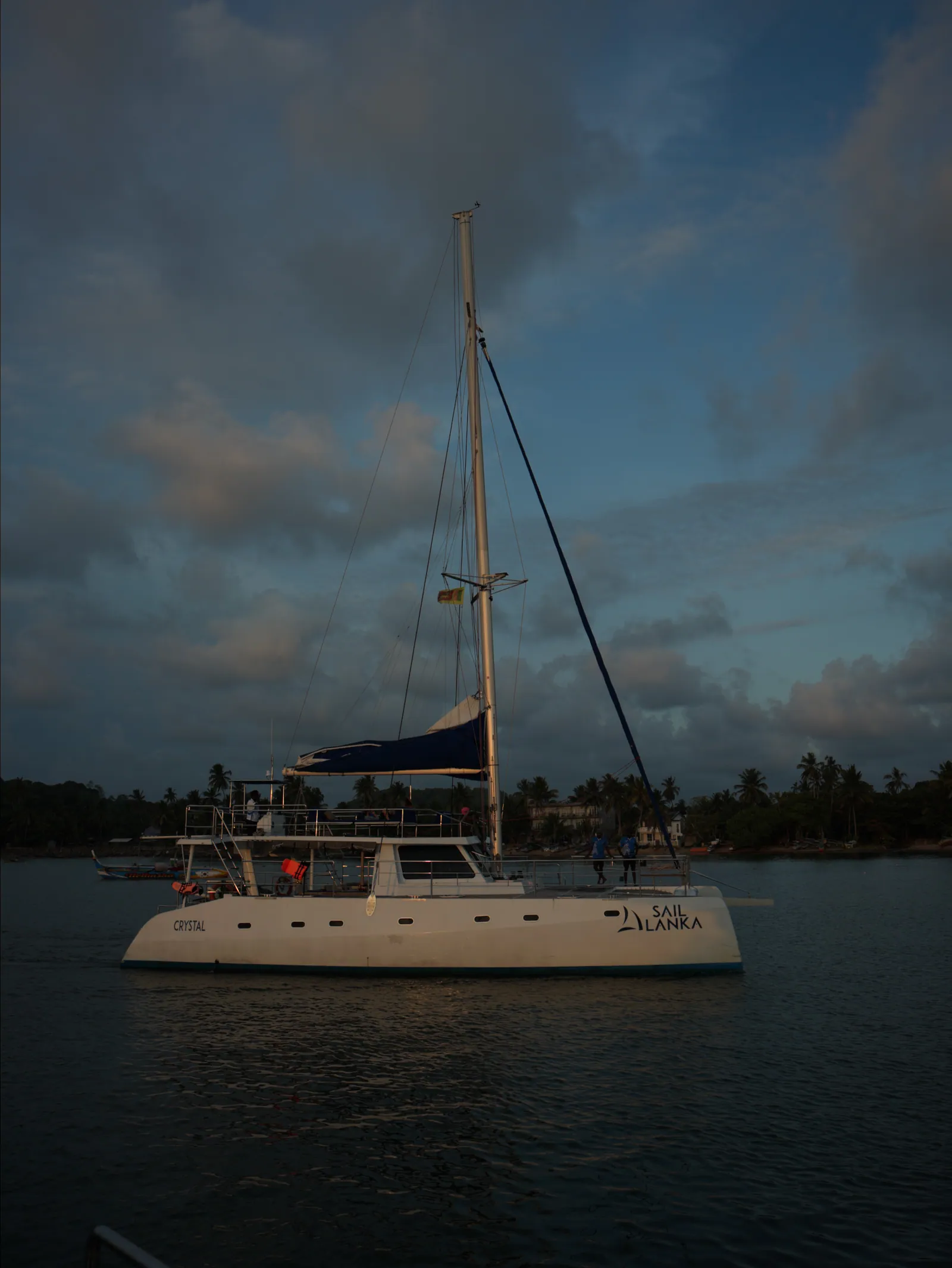 A white catamaran with its sail furled floats on calm dark water at dusk, a palm-lined shore and blue cloudy sky stretching behind it.