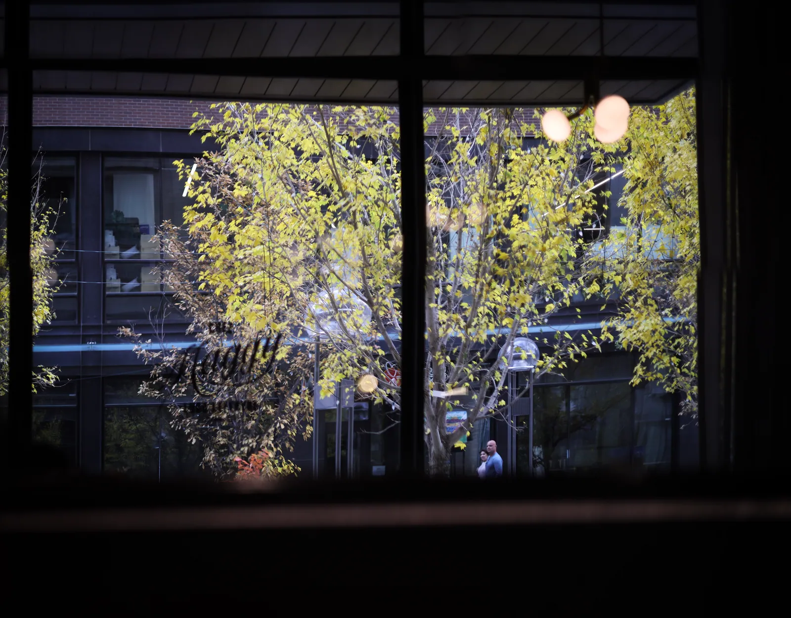 Yellow autumn trees and a building across the street seen through a dark window frame, with glowing globe lights reflected in the glass.